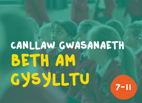 Beth am gysylltu - canllaw gwasanaeth (7-11) 