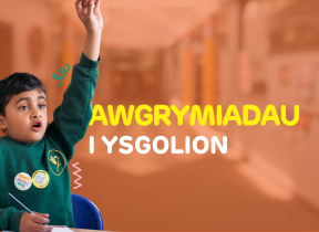 Top Tips For Schools Welsh